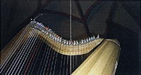Ralf Kleemann's harp