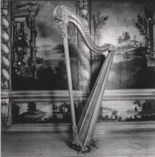 Louis XVI - harp built 1998 by Beat Wolf, Scaffhausen, after Parisian Masters of the late 18th century. Single - action pedal harp with crotchet mechanism, 39 strings FI - bb3.(Photo (c) Antonio Idone).