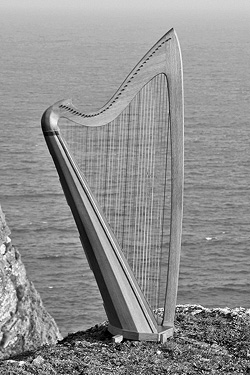 Photo: New Celtic Harp